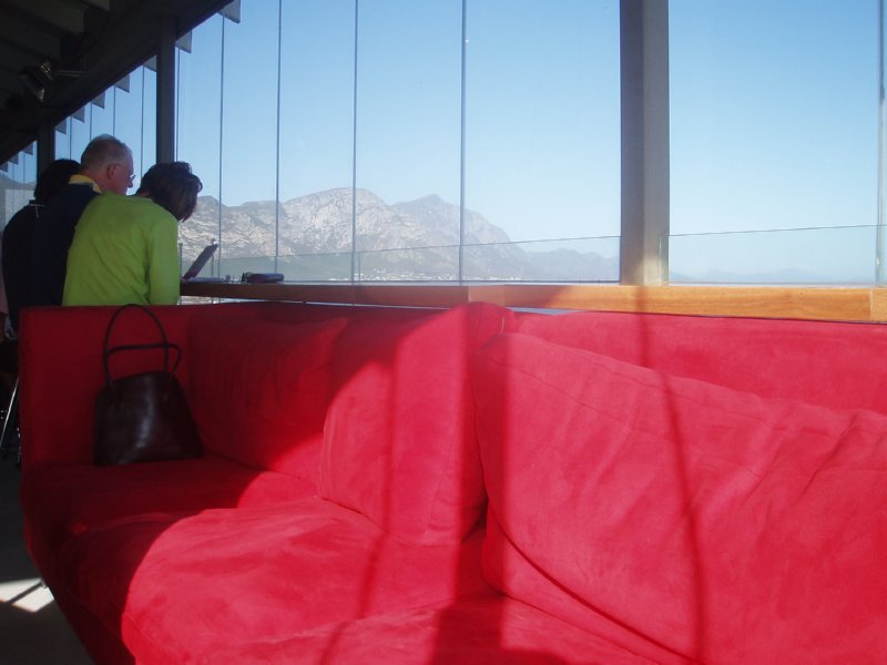 KeHa_in_South_Africa - 177